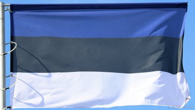 Эстония арестовала несколько человек, которые должны были сеять страх и панику в обществе